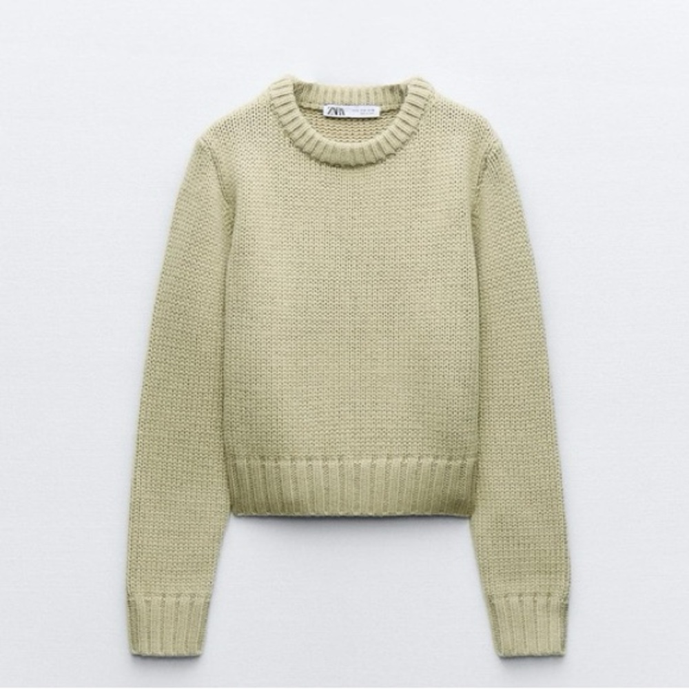 NWT Zara Crew Neck Sweater